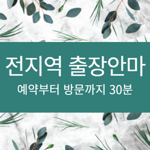 출장안마